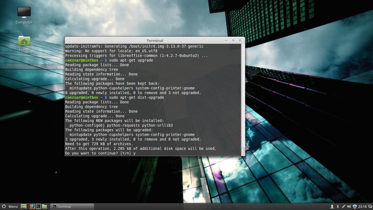 update linux mint