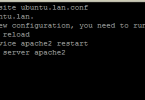 enable virtual host