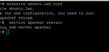 enable virtual host