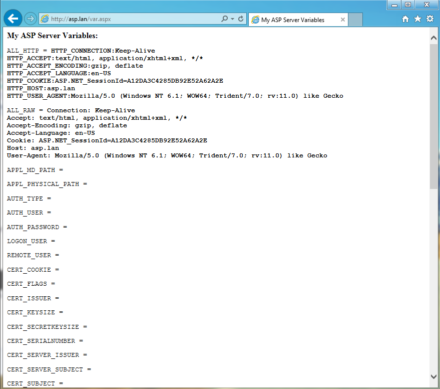 get ASP.NET server environment variables
