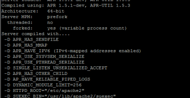 apache version and build options
